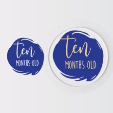 Baby Monthly Milestone Disc, Birth Months