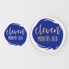 Baby Monthly Milestone Disc, Birth Months