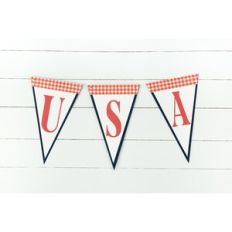 USA Banner