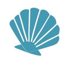 Seashell