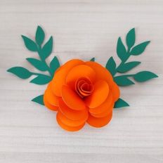 Practical Flower 135 with foliage