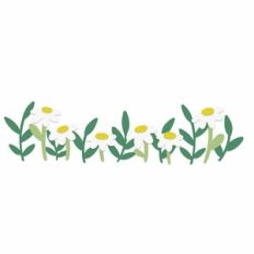 Layered Daisy Flowers Scene