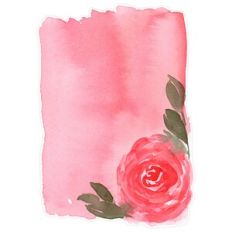 Coral Pink Rose Watercolor Background / Frame Print and Cut