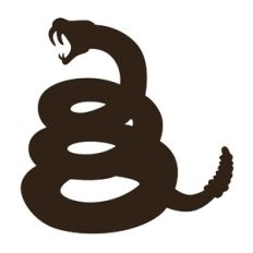 Coiled Rattlesnake