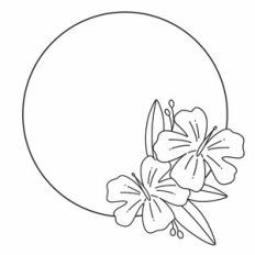 Hibiscus Floral Frame