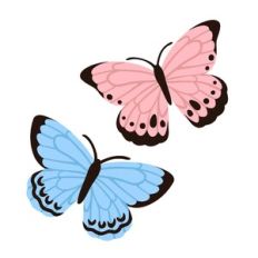Pink and Blue Butterflies