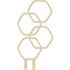 Hexagonal House Plant Trellis