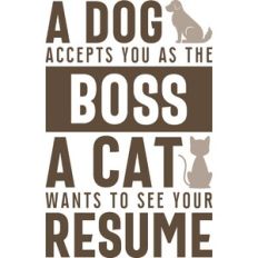 Dog and Cat