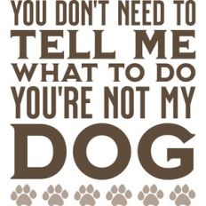 Not My Dog