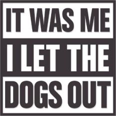 It was Me i Let the Dogs out