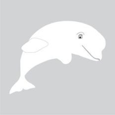 Beluga Whale