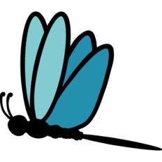 Flying Dragonfly
