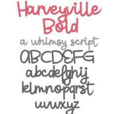 ZP Harveyville Bold