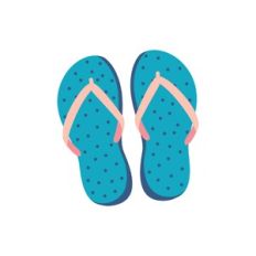 Flip Flops