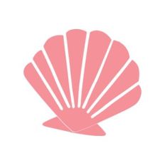 Pink Seashell