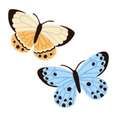 Yellow and Blue Butterflies