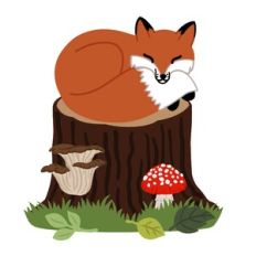 Fox Sleeping on Tree Stump