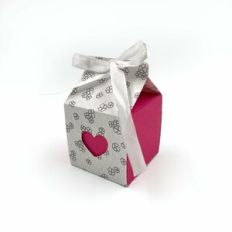 two color mini milk carton box