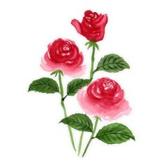 Romantic Red Watercolor Roses Flowers Print and Cut