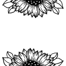 Sunflower Border