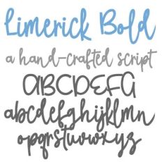 ZP Limerick Bold