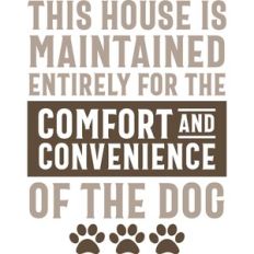 Comfort of the Dog