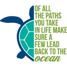 The Paths You Take