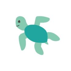 Sea Turtle