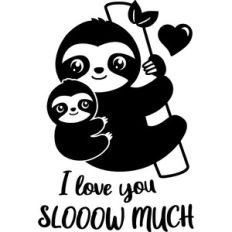 Mom and baby sloth