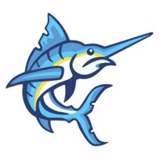 Swordfish