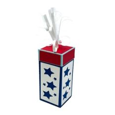 Medium 3D Firecracker  Box