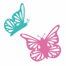 Butterflies
