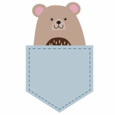 Pocket Bear