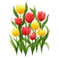 Red and Yellow Watercolor Tulips Flowers Print and Cut