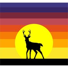 sunset deer