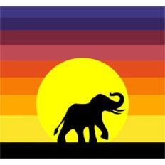 sunset elephant