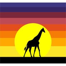 sunset giraffe