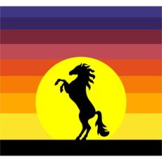 sunset horse