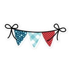 Birthday Boy Banner
