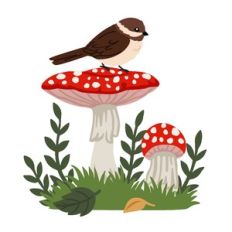 Bird on Mushroom