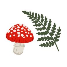 Fern and Mushroom