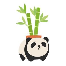 Kawaii Bamboo in Panda Planter