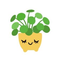 Kawaii Chinese Money Plant