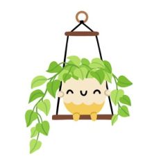 Kawaii Pothos Hanging Plant
