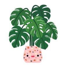 Kawaii Monstera Plant