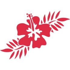 Hawaiin Hibiscus Flower