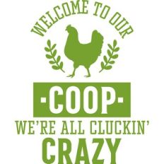 Welcome To Our Coop