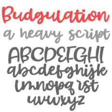PN Budgulation