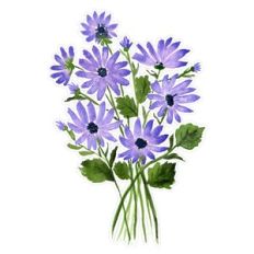 Purple Cineraria Watercolor Wild Flowers Print and Cut
