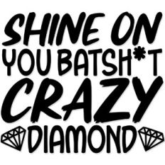 Shine on you batsh*t crazy diamond